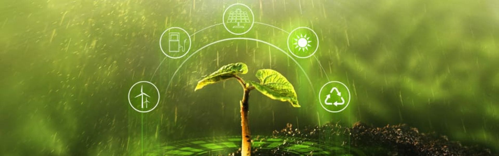 What is Sustainable Technology in 2023? (Examples + Case Studies)